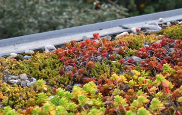 the cost of Bosherston green roof installation