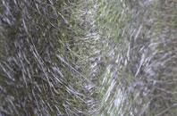 Bosherston fibreglass roof work